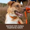 imageNatures Recipe Dry Dog Food with Freeze Dried Chicken Bites Chicken Barley ampamp Brown Rice Recipe 35 lb Bag Pack of 4Chicken  Barley  Brown Rice
