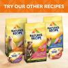 imageNatures Recipe Grain Free Dry Dog Food Chicken Sweet Potato ampamp Pumpkin Recipe 12 lb BagChicken  Sweet Potato  Pumpkin