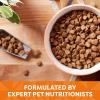 imageNatures Recipe Grain Free Dry Dog Food Chicken Sweet Potato ampamp Pumpkin Recipe 12 lb BagChicken  Sweet Potato  Pumpkin