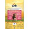 imageNatures Recipe Grain Free Dry Dog Food Salmon Sweet Potato ampamp Pumpkin Recipe 12 lb BagSalmon  Sweet Potato  Pumpkin