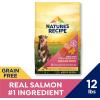 imageNatures Recipe Grain Free Dry Dog Food Salmon Sweet Potato ampamp Pumpkin Recipe 12 lb BagSalmon  Sweet Potato  Pumpkin