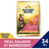 imageNatures Recipe Grain Free Dry Dog Food Salmon Sweet Potato ampamp Pumpkin Recipe 12 lb BagSalmon  Sweet Potato  Pumpkin