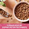 imageNatures Recipe Grain Free Dry Dog Food Salmon Sweet Potato ampamp Pumpkin Recipe 12 lb BagSalmon  Sweet Potato  Pumpkin