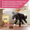 imageNatures Recipe Grain Free Dry Dog Food Salmon Sweet Potato ampamp Pumpkin Recipe 24 lb Bag24 Pound Pack of 1