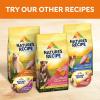imageNatures Recipe Grain Free Dry Dog Food Salmon Sweet Potato ampamp Pumpkin Recipe 24 lb Bag24 Pound Pack of 1