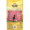 imageNatures Recipe Grain Free Dry Dog Food Salmon Sweet Potato ampamp Pumpkin Recipe 24 lb Bag4 Pound Pack of 2