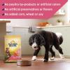 imageNatures Recipe Grain Free Dry Dog Food Salmon Sweet Potato ampamp Pumpkin Recipe 24 lb Bag4 Pound Pack of 2