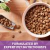 imageNatures Recipe Grain Free Lamb Sweet Potato ampamp Pumpkin Recipe Dry Dog Food 24 lb BagLamb  Sweet Potato  Pumpkin