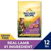 imageNatures Recipe Grain Free Lamb Sweet Potato ampamp Pumpkin Recipe Dry Dog Food 24 lb BagLamb  Sweet Potato  Pumpkin