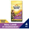 imageNatures Recipe Grain Free Lamb Sweet Potato ampamp Pumpkin Recipe Dry Dog Food 24 lb BagLamb  Sweet Potato  Pumpkin