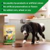 imageNatures Recipe Grain Free Large Breed Chicken Sweet Potato ampamp Pumpkin Recipe Dry Dog Food 24 lb BagChicken  Sweet Potato  Pumpkin