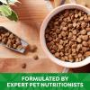 imageNatures Recipe Grain Free Large Breed Chicken Sweet Potato ampamp Pumpkin Recipe Dry Dog Food 24 lb BagChicken  Sweet Potato  Pumpkin