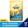 imageNatures Recipe Grain Free Puppy Chicken Sweet Potato ampamp Pumpkin Recipe Dry Dog Food 12 lb BagChicken  Sweet Potato  Pumpkin Recipe