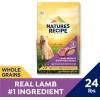 imageNatures Recipe Lamb Barley ampamp Brown Rice Recipe Dry Dog Food 12 lb BagLamb  Rice