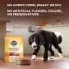 imageNatures Recipe Lamb Barley ampamp Brown Rice Recipe Dry Dog Food 12 lb BagLamb  Rice