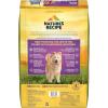 imageNatures Recipe Lamb Barley ampamp Brown Rice Recipe Dry Dog Food 12 lb BagLamb  Rice