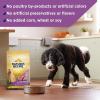 imageNatures Recipe Lamb Barley ampamp Brown Rice Recipe Dry Dog Food 12 lb BagLamb  Rice