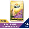 imageNatures Recipe Lamb Barley ampamp Brown Rice Recipe Dry Dog Food 12 lb BagLamb  Rice