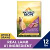 imageNatures Recipe Lamb Barley ampamp Brown Rice Recipe Dry Dog Food 12 lb BagLamb  Rice