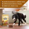imageNatures Recipe Mature Lamb ampamp Brown Rice Recipe Dry Dog Food 24 lb BagLamb  Rice
