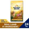 imageNatures Recipe Mature Lamb ampamp Brown Rice Recipe Dry Dog Food 24 lb BagLamb  Rice