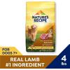 imageNatures Recipe Mature Lamb ampamp Brown Rice Recipe Dry Dog Food 24 lb BagLamb  Rice