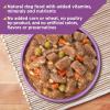 imageNatures Recipe Wet Dog Food Chicken Rice ampamp Barley Recipe Ground Formula 132 Ounce Can Pack of 12Lamb  Rice  Barley Stew Formula