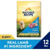imageNatures Recipe Puppy Lamb ampamp Rice Recipe Dry Dog Food 12 lb BagLamb  Rice updated formula