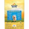 imageNatures Recipe Puppy Lamb ampamp Rice Recipe Dry Dog Food 12 lb BagLamb  Rice updated formula