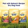 imageNatures Recipe Grain Free Wet Dog Food Variety Pack 275 Ounce Cup Pack of 12