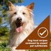 imageNatures Recipe Grain Free Wet Dog Food Variety Pack 275 Ounce Cup Pack of 12